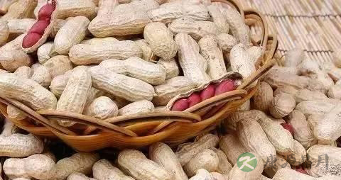 含糖量低的干果有哪些 含糖量低的干果有哪些