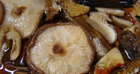 葡萄降血糖血脂吗 葡萄降血糖血脂吗