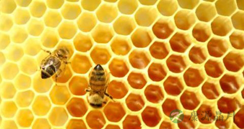 蜂胶可以降血糖吗 蜂胶可以降血糖吗