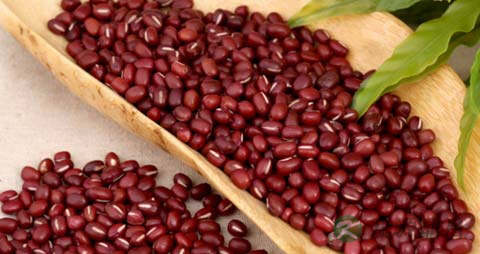 红豆含糖量高吗 红豆含糖量高吗