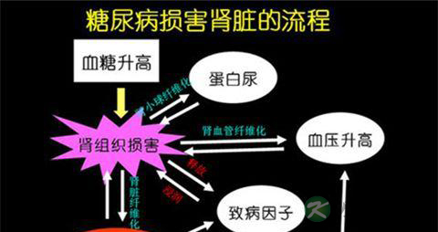 糖尿病肾病怎么治 糖尿病肾病怎么治