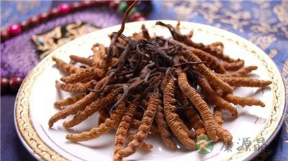 糖尿病可以吃冬虫夏草吗 糖尿病可以吃冬虫夏草吗