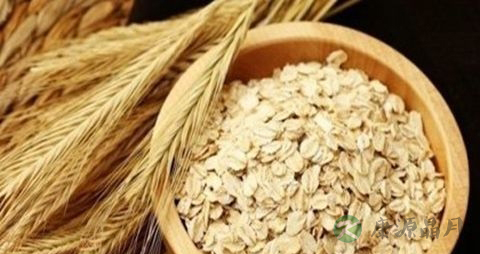 糖尿病的预防及治疗方法 糖尿病的预防及治疗方法