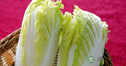 常吃大白菜能预防糖尿病吗 常吃大白菜能预防糖尿病吗