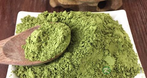 预防糖尿病喝苦瓜粉有用吗 预防糖尿病喝苦瓜粉有用吗