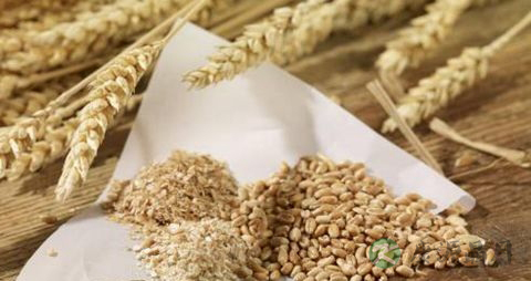 预防糖尿病最好的食疗方法 预防糖尿病最好的食疗方法