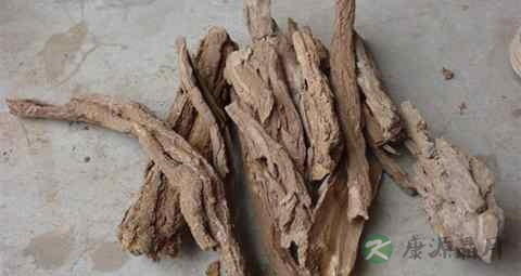 木别子能治疗糖尿病吗 木别子能治疗糖尿病吗