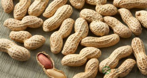吃哪些糖尿病药物不能饮酒 吃哪些糖尿病药物不能饮酒
