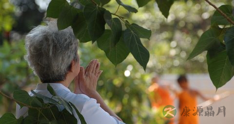 一型糖尿病能自愈吗 一型糖尿病能自愈吗