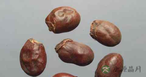 糖尿病偏方 糖尿病偏方