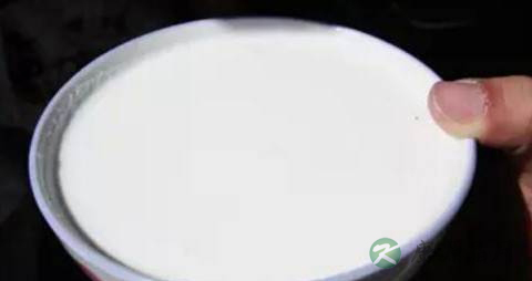 骆驼奶真的有降糖的功效吗 骆驼奶真的有降糖的功效吗