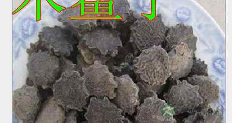 木别子能治疗糖尿病吗 木别子能治疗糖尿病吗