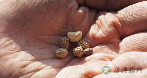 糖尿病症状有皮肤痒吗 糖尿病症状有皮肤痒吗