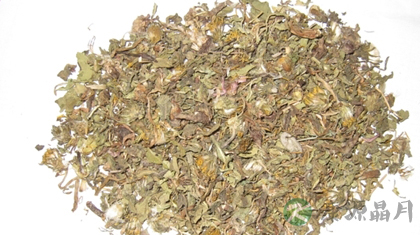 中草药蒲公英17个治病验方 中草药蒲公英17个治病验方