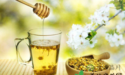 营养搭配:茶水加蜂蜜提高抵抗力 营养搭配:茶水加蜂蜜提高抵抗力