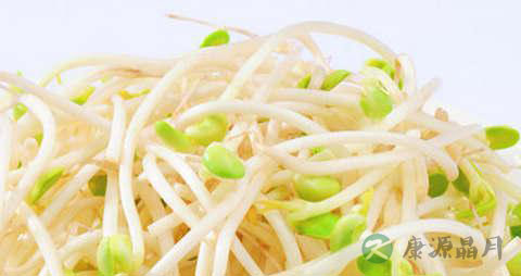 黄豆芽的营养价值 黄豆芽的营养价值