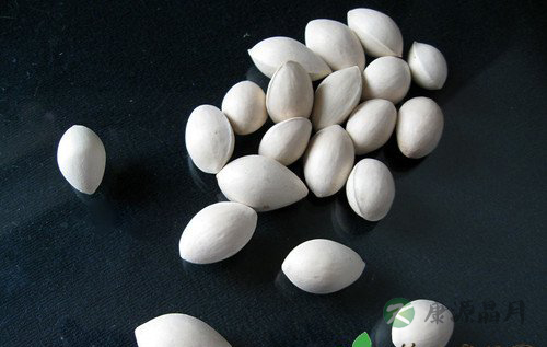 白果的营养价值 白果的营养价值