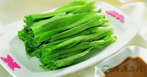 油麦菜的营养价值有哪些 油麦菜的营养价值有哪些