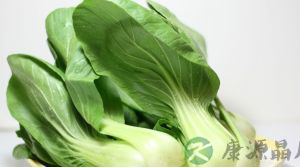 青菜比牛奶更补钙吗 青菜比牛奶更补钙吗