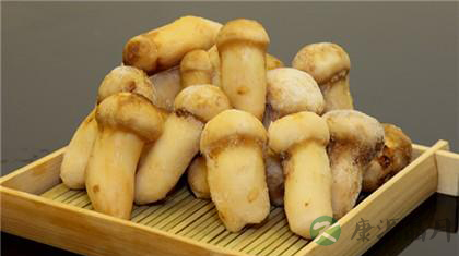 松茸的营养价值有哪些 松茸的营养价值有哪些