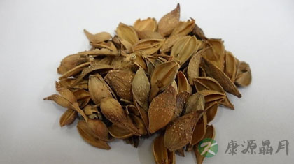 中草药连翘 你认识吗 中草药连翘 你认识吗