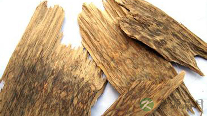 沉香 止咳化痰暖胃温脾 沉香 止咳化痰暖胃温脾