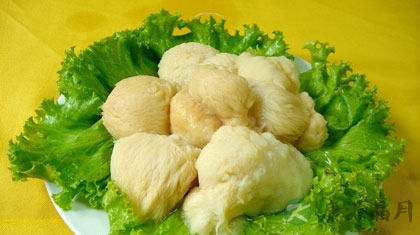 猴头菇 养发护发的佳品 猴头菇 养发护发的佳品