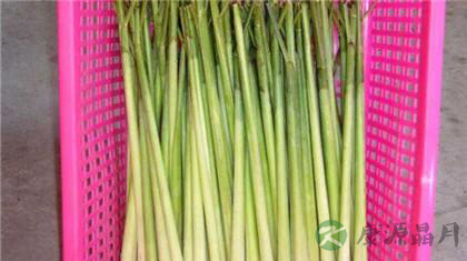 去火润燥正当时 推荐五款降火美食 去火润燥正当时 推荐五款降火美食