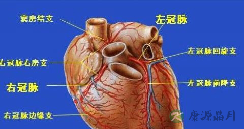 冠心病吃生菜好吗 冠心病吃生菜好吗