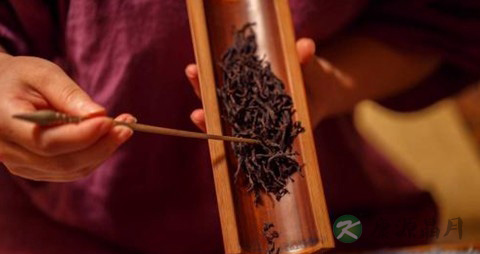 老人饮茶的注意事项 老人饮茶的注意事项