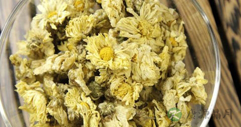 登革热的症状 登革热的症状