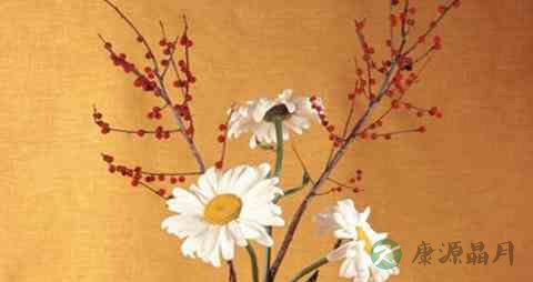 输卵管结核吃什么药 输卵管结核吃什么药