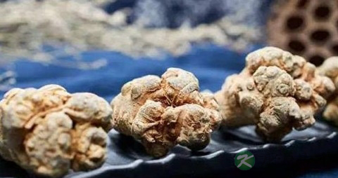 三七粉能治妇科炎症吗 三七粉能治妇科炎症吗