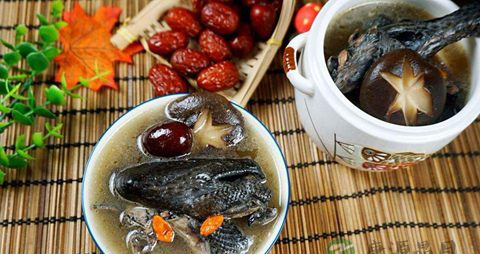 怎样食疗月经不调 怎样食疗月经不调