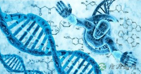 白血病脐带血移植治愈率高吗 白血病脐带血移植治愈率高吗