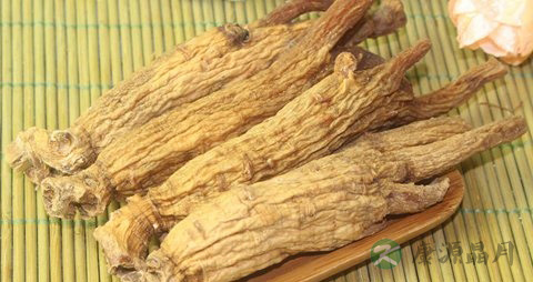 慢粒白血病吃什么补品 慢粒白血病吃什么补品