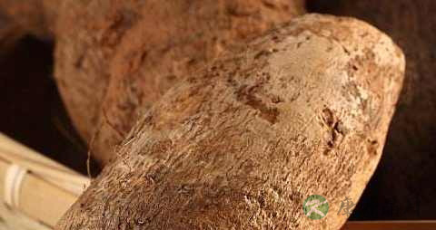 白血病可以吃山药吗 白血病可以吃山药吗