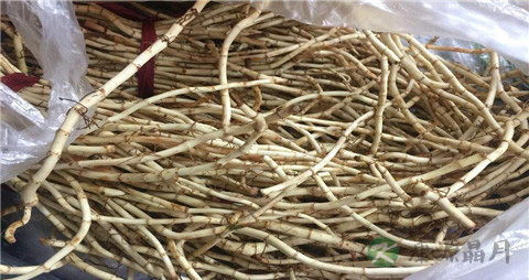 鱼腥草治手足口病吗 鱼腥草治手足口病吗