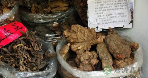 囊肿和肿瘤的区别 囊肿和肿瘤的区别