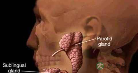 腮腺肿瘤有哪些临床表现 腮腺肿瘤有哪些临床表现