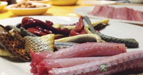 类风湿可以吃蛇肉吗 类风湿可以吃蛇肉吗