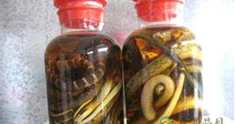 除风湿强筋骨泡酒药方 除风湿强筋骨泡酒药方