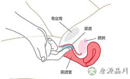 图解女性G点 把握女人兴奋点 图解女性G点 把握女人兴奋点