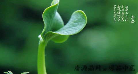 厦门立春的习俗 厦门立春的习俗