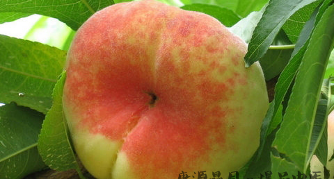 上巳节为什么要郊外游春 上巳节为什么要郊外游春