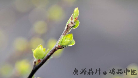 吉林立春吃什么 吉林立春吃什么