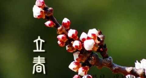 东莞立春的注意事项 东莞立春的注意事项