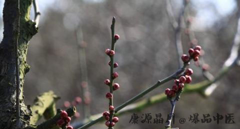 西安立春的习俗 西安立春的习俗