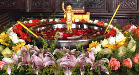 上海元宵节吃什么 上海元宵节吃什么