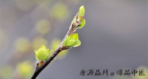 郑州立春的习俗 郑州立春的习俗